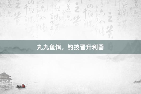 丸九鱼饵，钓技晋升利器